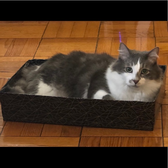 Meet your Posher, Megan - Picture 5 of 10